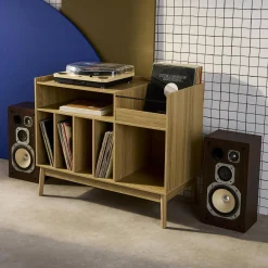Vintage-Möbel für Schallplatten mit Holzdekor
