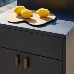 Außenküche Stahl 2 Türen B 80 cm