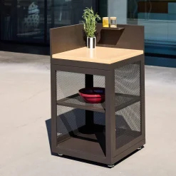 Außenküche Stahl und Holzdekor 1 Regal B 60 cm