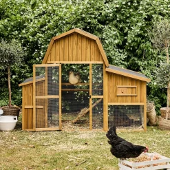 Hühnerstall für 6 Hühner aus Tannenholz