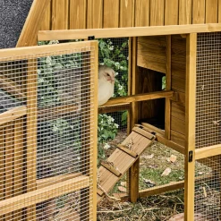 Hühnerstall für 6 Hühner aus Tannenholz