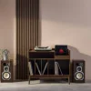 Vintage-Möbel für Schallplatten mit Holzdekor